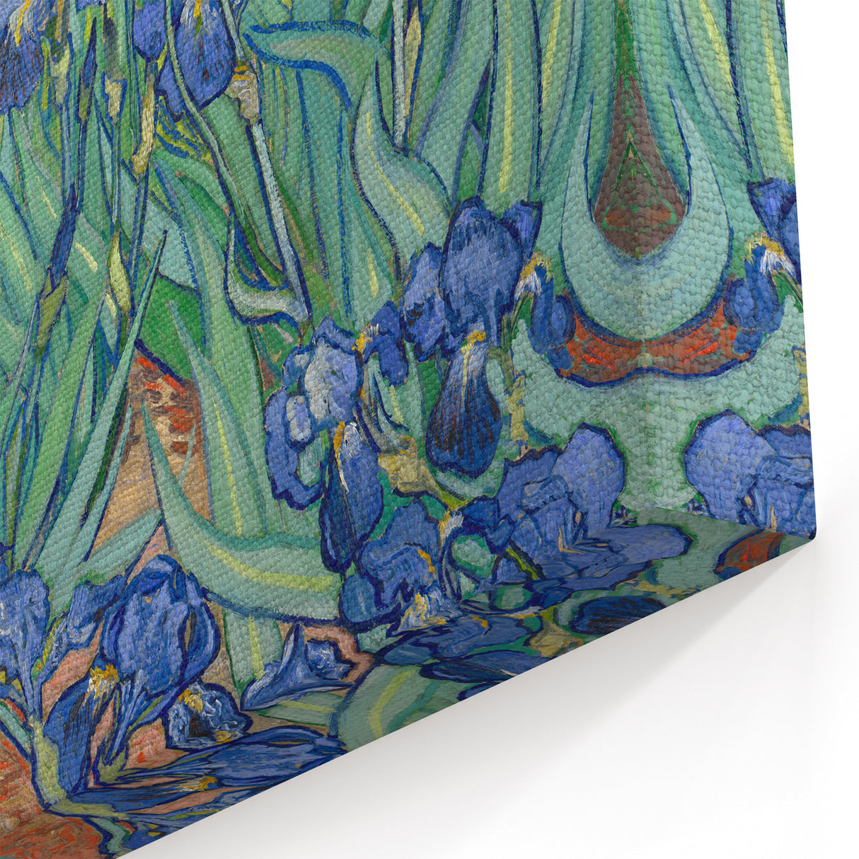 Starry Night Wall Art - Irises in Bloom by Vincent van Gogh