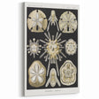 Modern Wall Art: Geometric Woman - Bold Abstract Feminine Print