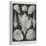Modern Wall Art: Abstract Faces - Contemporary Minimalist Print