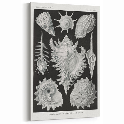 Modern Wall Art: Abstract Faces - Contemporary Minimalist Print