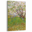 Vincent van Gogh Wall Art - Vibrant Spring Orchard Canvas Prints