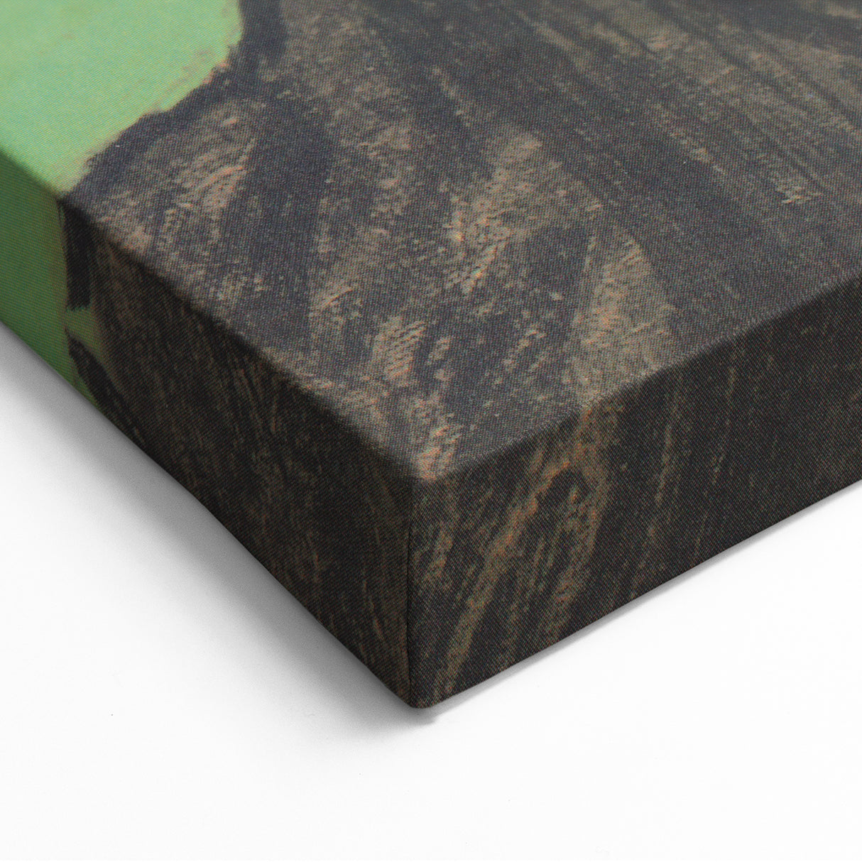 Vincent van Gogh Wall Art - Portrait of a Woman Canvas Prints