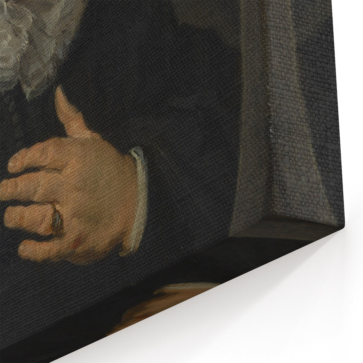 Classic Baroque Portrait - Nobleman with Elaborate White Ruff Collar