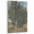 Vincent van Gogh Wall Art - Iconic Cypress Trees Canvas Print