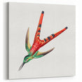 Modern Wall Art - Colorful Hummingbird | Contemporary Nature Print