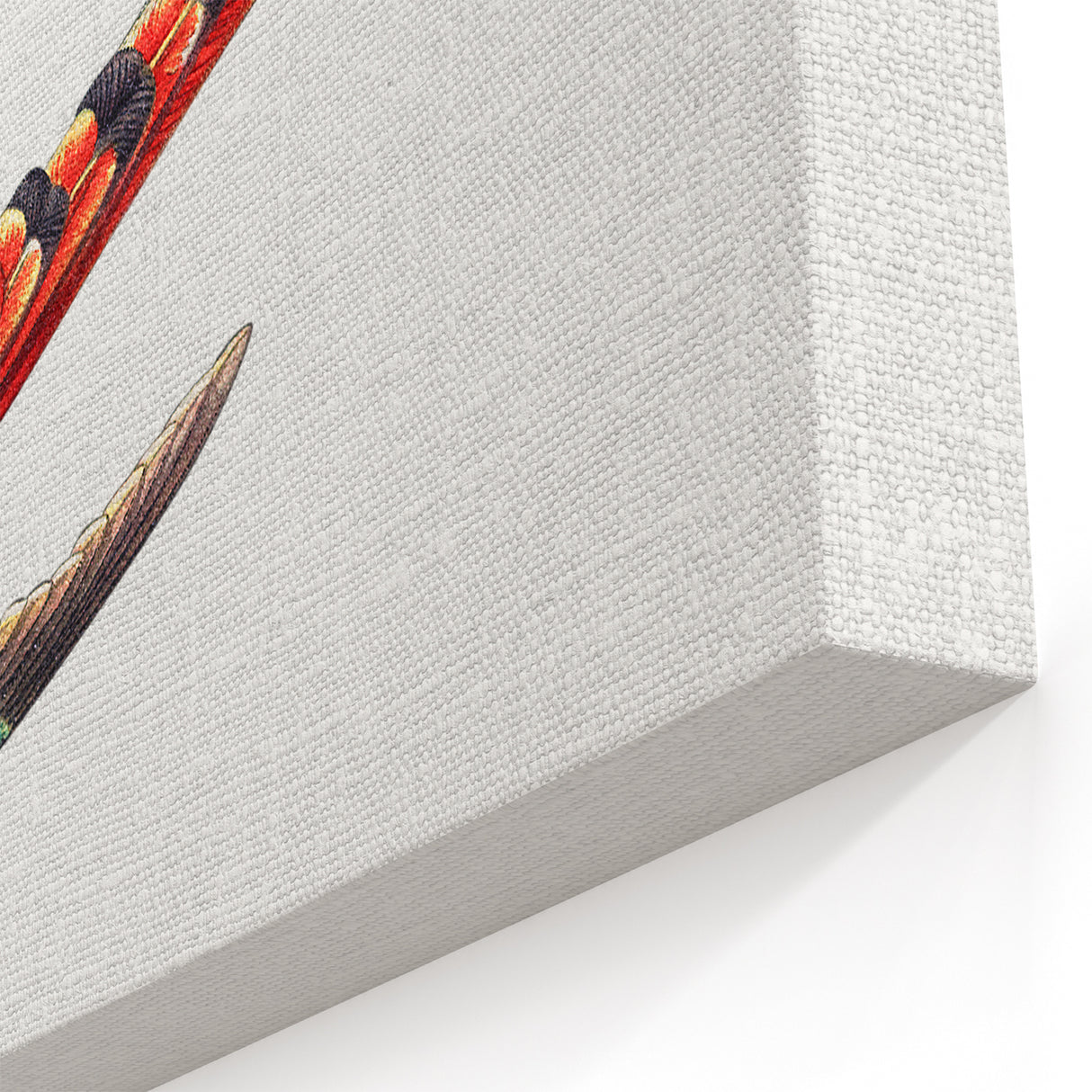 Modern Wall Art - Colorful Hummingbird | Contemporary Nature Print
