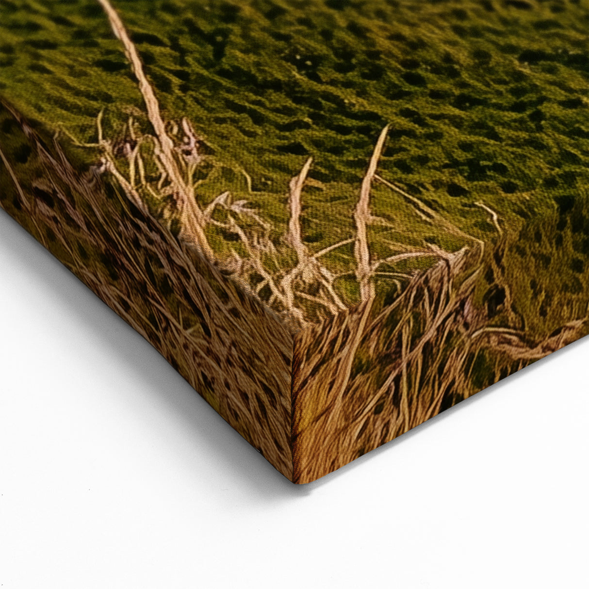 Cliffs Canvas Art - Sunset Over Dramatic White Cliffs