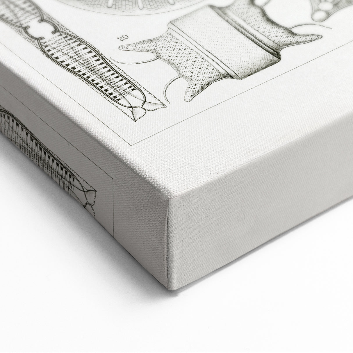 Modern Wall Art - Ernst Haeckel’s Diatomea Illustration Print