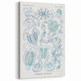Modern Marine-Inspired Wall Art – Abstract Ctenophore Design