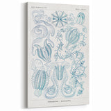 Modern Marine-Inspired Wall Art – Abstract Ctenophore Design