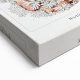 Modern Marine Wall Art – Ernst Haeckel’s "Nudibranchia" Illustration