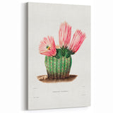 Modern Wall Art: Vibrant Rainbow Cactus Illustration with Pink Blooms