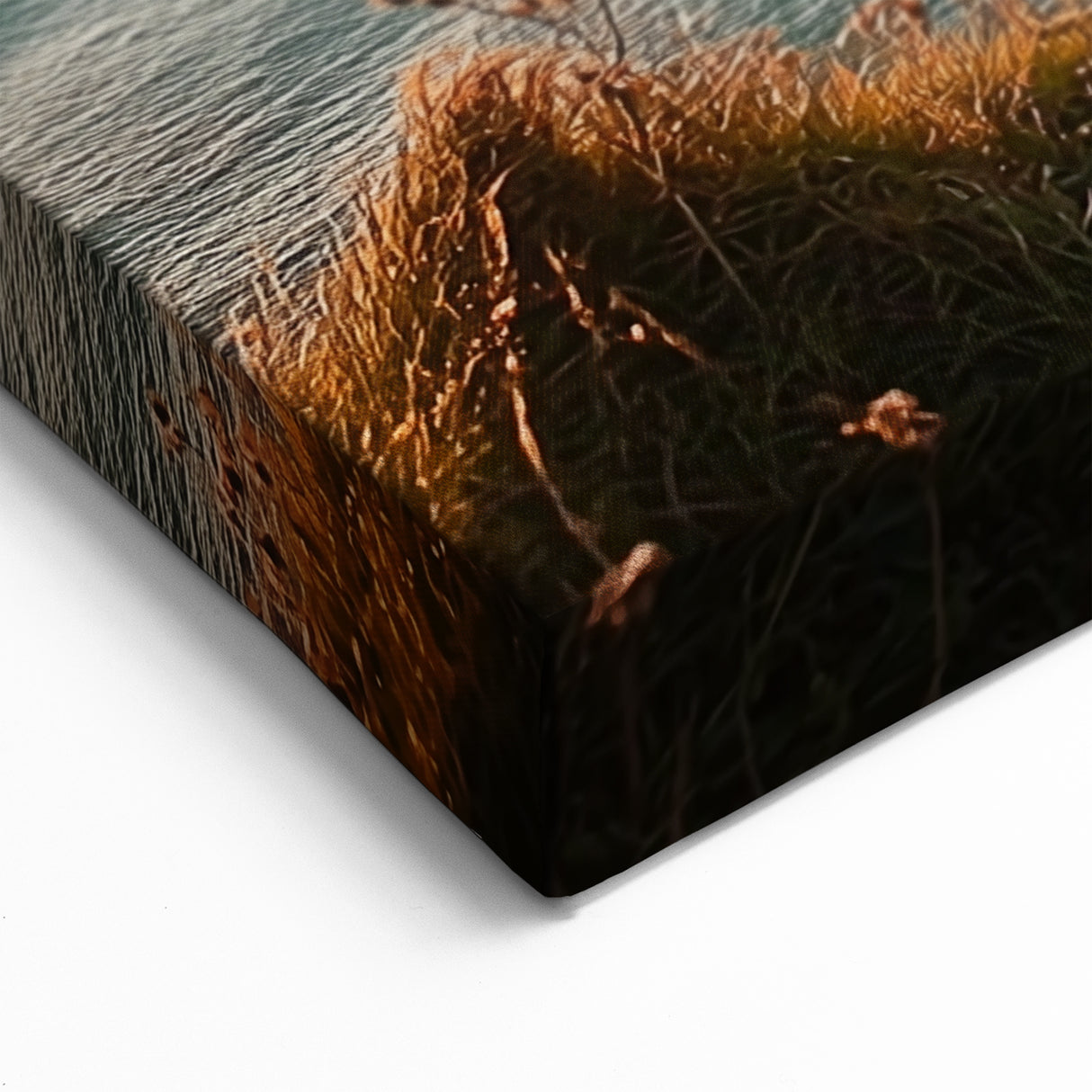 Cliffs Canvas Art - Sunset Coastal Arches and Serene Beach Decor