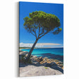 Cliffs Acrylic Glass Art – Tree by Turquoise Waters Coastal Landscape