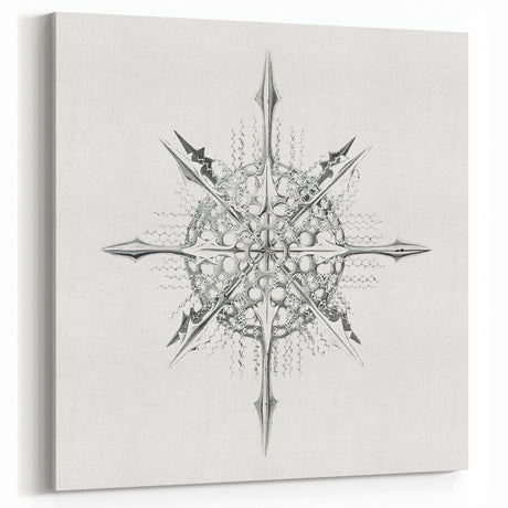 Modern Wall Art – Intricate Vintage Marine Life Illustration