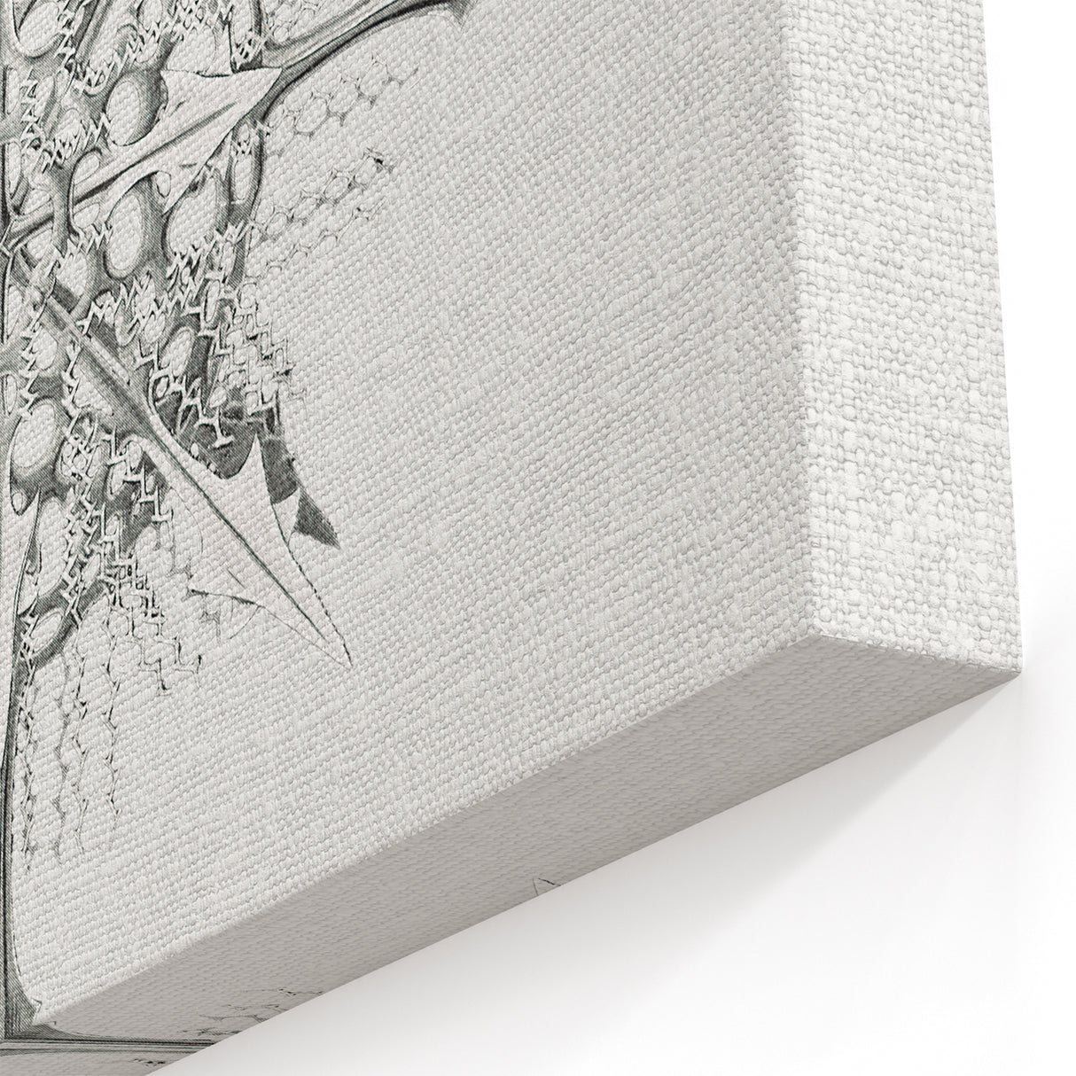 Modern Wall Art – Intricate Vintage Marine Life Illustration
