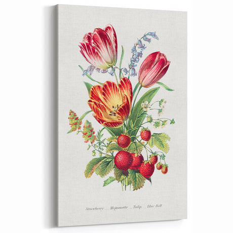 Classic Romantic Paintings - Strawberry and Tulip Art Print