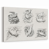 Expressionism Wall Art - Seven Pigeons by Leo Gestel