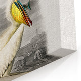 Romanticism Art: Ornithological Study - Classic Bird Illustration