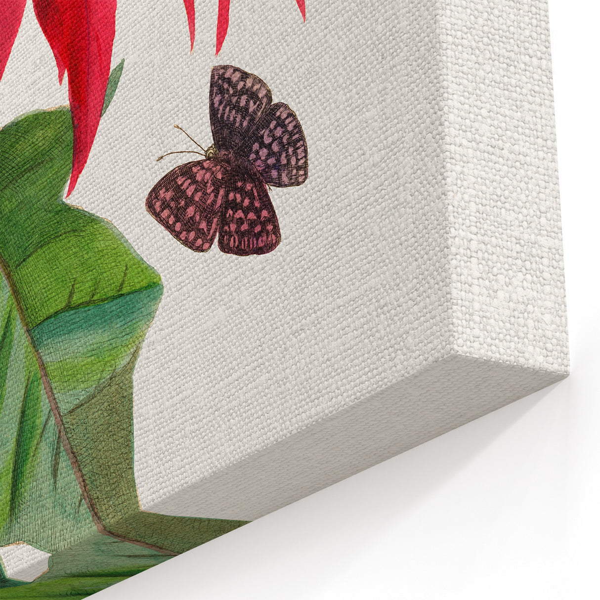 Romanticism Art - Poinsettia Flower Painting with Historical Elegance