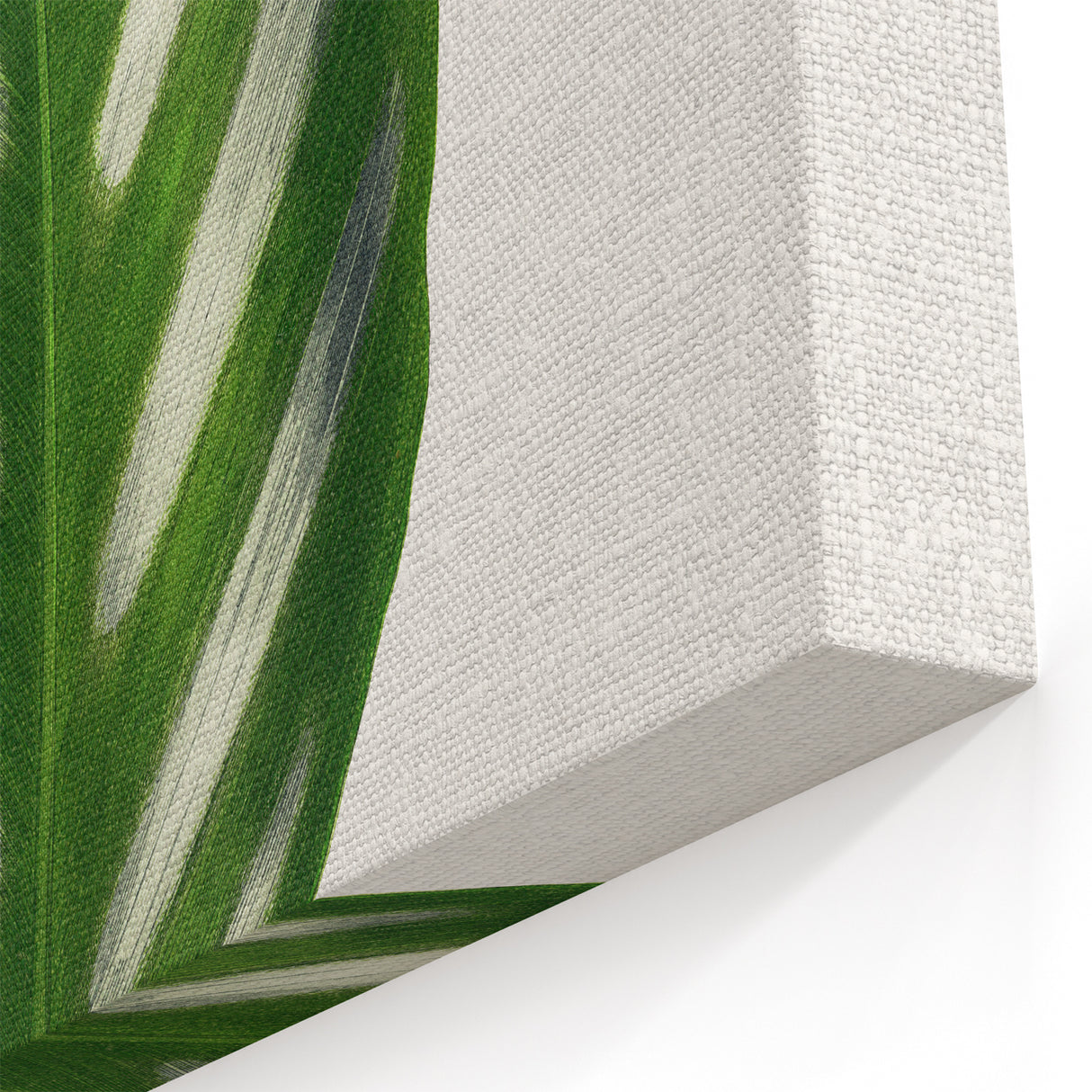 Romanticism Art - Maranta Porteana Leaf Illustration on Canvas