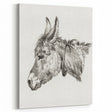 Romanticism Art: Head of a Donkey by Jean-Bernard
