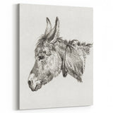 Romanticism Art: Head of a Donkey by Jean-Bernard