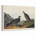 Romanticism Art: Dusky Grouse by John Audubon - Classic Canvas Print