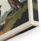 Romanticism Art: Dusky Grouse by John Audubon - Classic Canvas Print