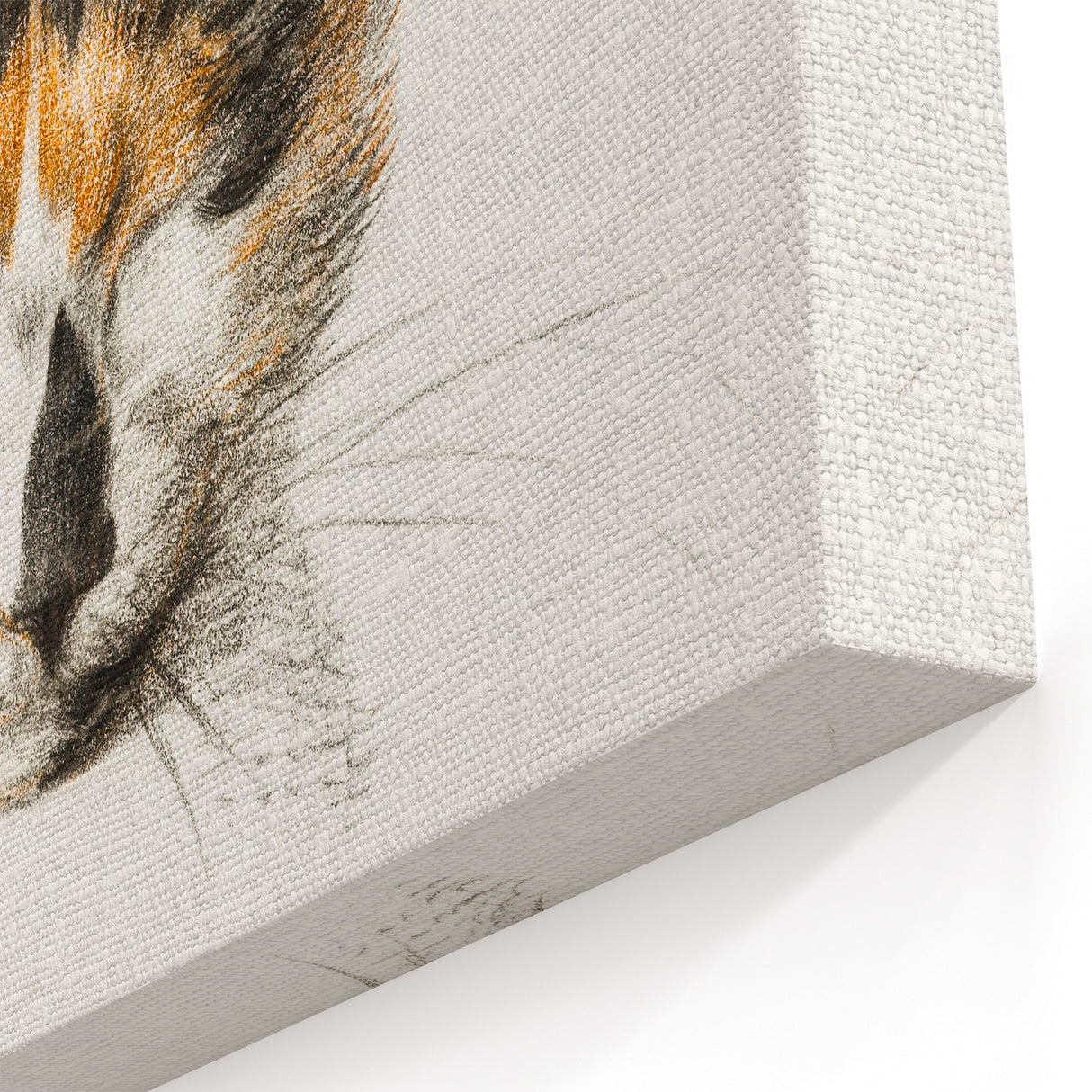 Romanticism Art: Calico Cat by Jean Bernard - Classic Animal Portrait