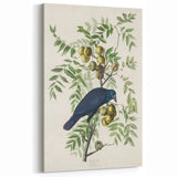 Romanticism Art: American Crow by Audubon - Nature-Inspired Print