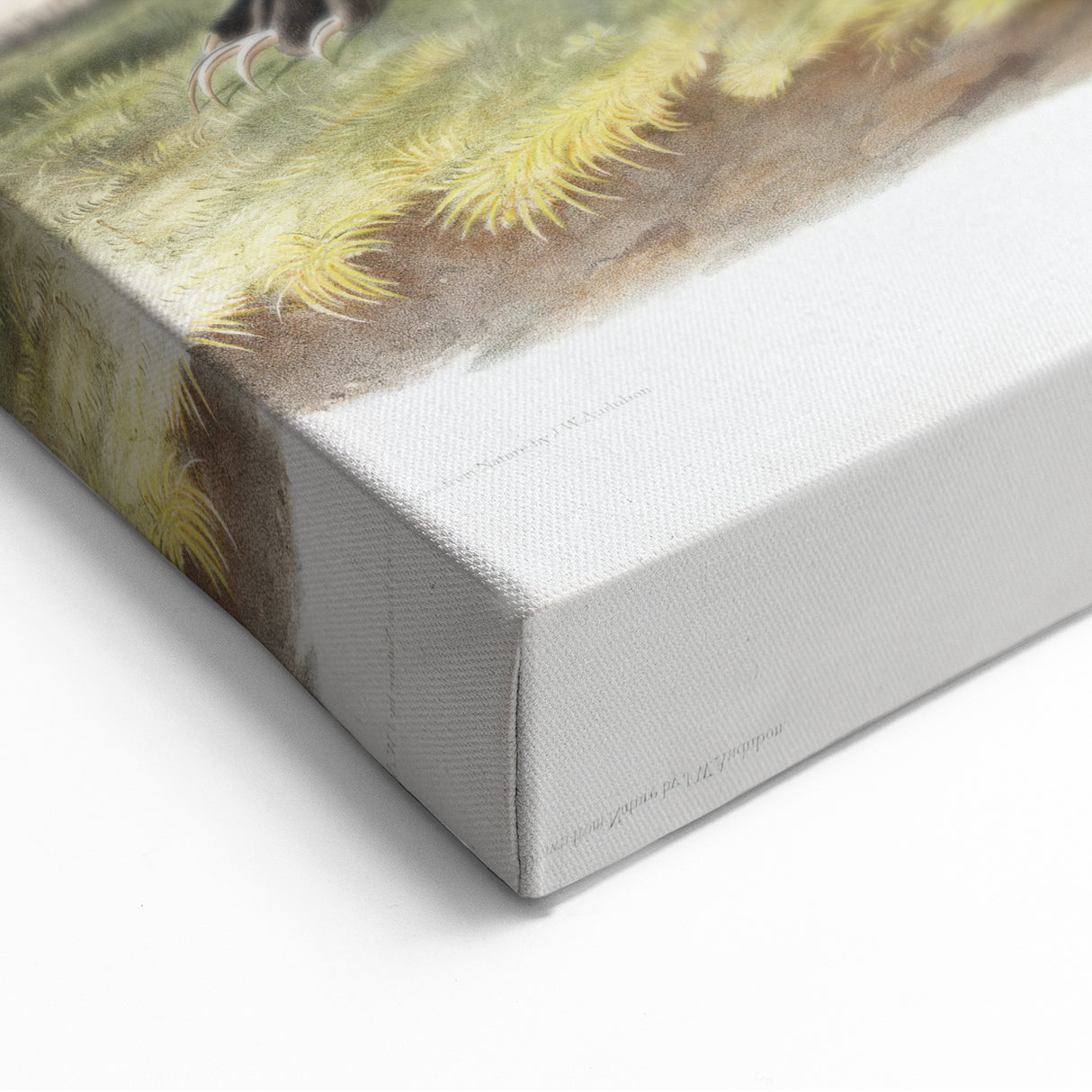 Romanticism Art: Large-tailed Skunk by Audubon - Nature-Inspired Print