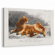 Romanticism Art: Lioness with Cubs by D’Orbigny - Wildlife Canvas