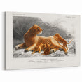 Romanticism Art: Lioness with Cubs by D’Orbigny - Wildlife Canvas