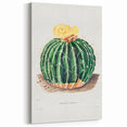 Classic Romantic Paintings: Parodia Sellowii Floral Wall Art