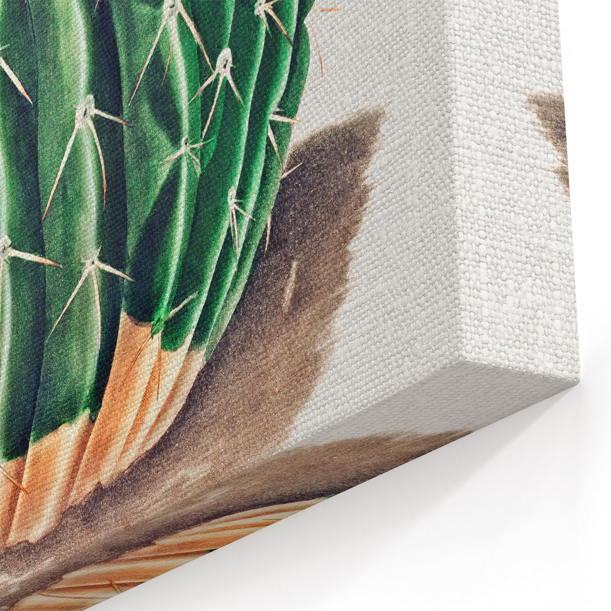 Classic Romantic Paintings: Parodia Sellowii Floral Wall Art