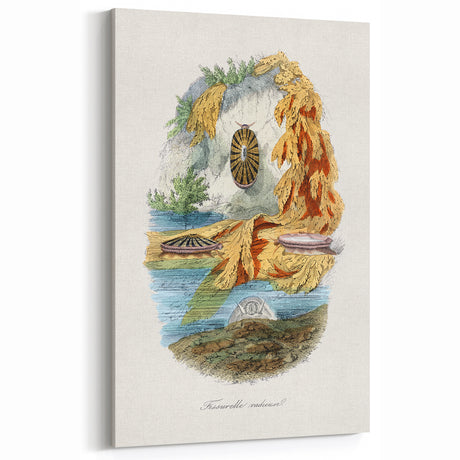 Romanticism Art: Volcano Limpet Snail Wall Art for Home Decor