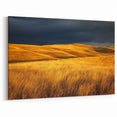 Country Life Art - Golden Plains Under Dramatic Dark Sky