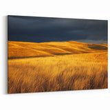 Country Life Art - Golden Plains Under Dramatic Dark Sky