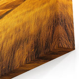 Country Life Art - Golden Plains Under Dramatic Dark Sky