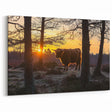Rustic Countryside Wall Art - Highland Cow at Sunrise Landscape Canvas