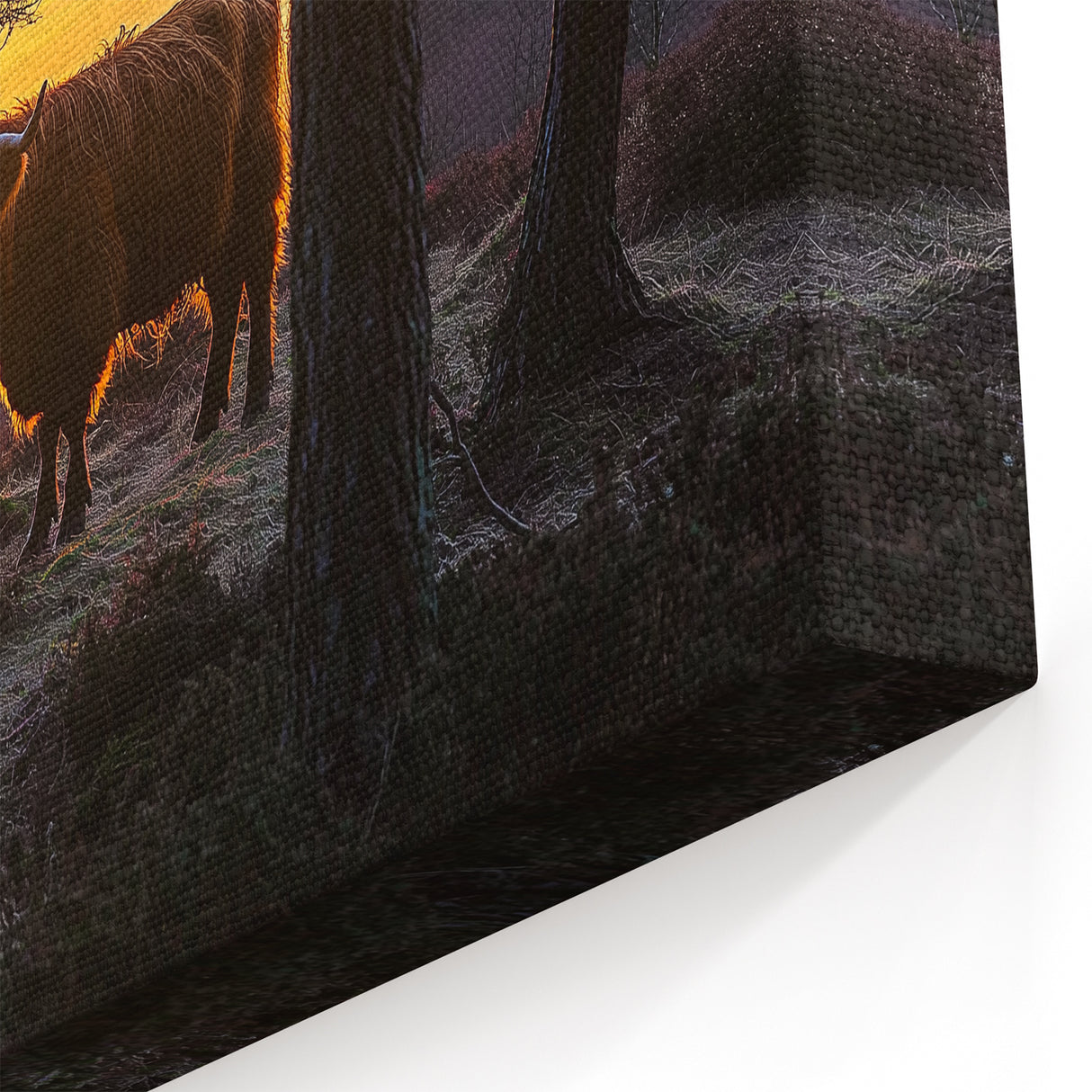 Rustic Countryside Wall Art - Highland Cow at Sunrise Landscape Canvas