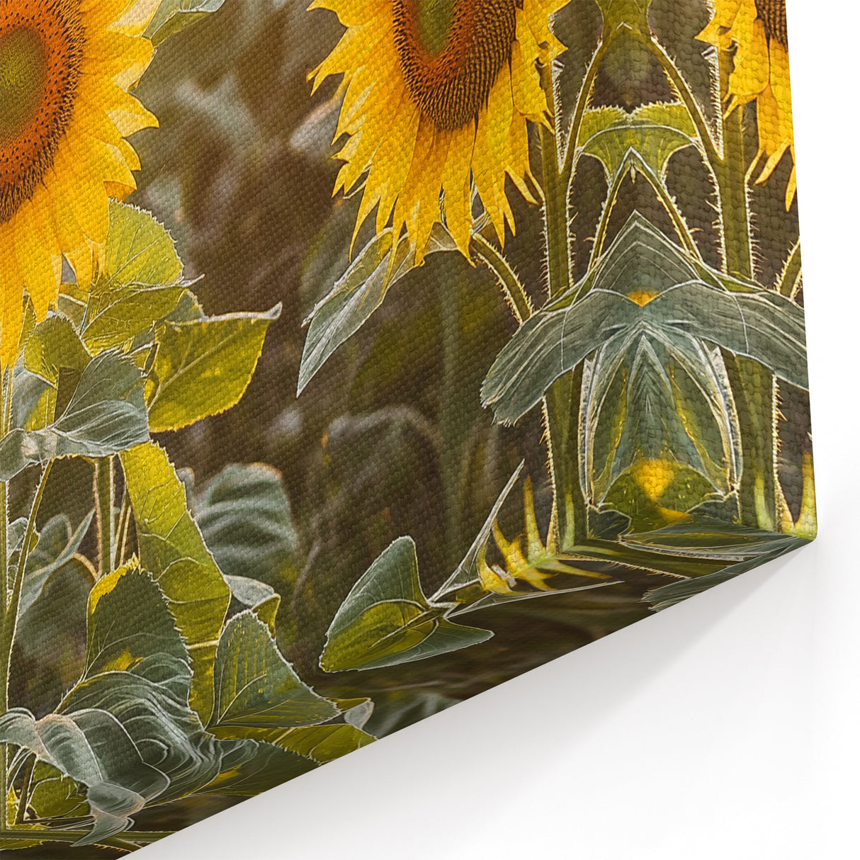 Sunflower Field Countryside Wall Art - Vibrant Rural Landscape Canvas