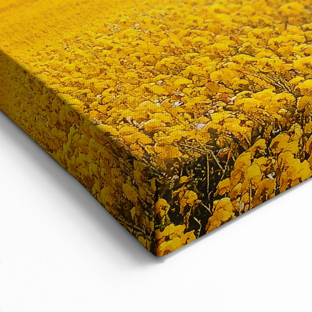 Golden Field Countryside Wall Art - Vibrant Rural Landscape Canvas