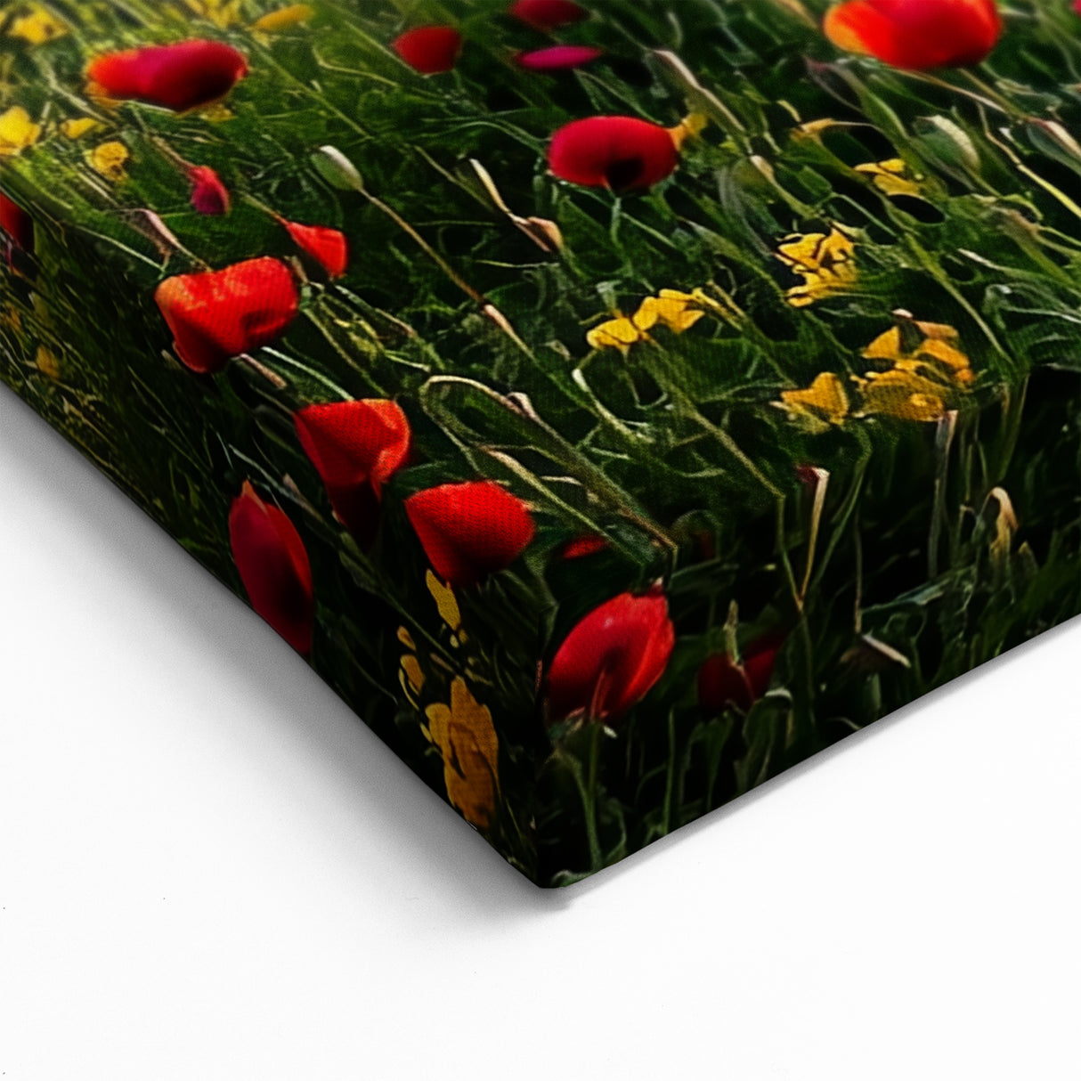 Meadow and Tree Countryside Wall Art - Scenic Pastoral Landscape Canvas