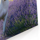 White Horse in Lavender Field Countryside Wall Art - Scenic Canvas