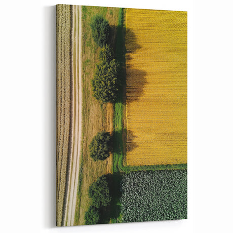 Golden Fields Aerial View Wall Art – Rustic Countryside Landscape Print