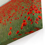 Poppy Field Countryside Wall Art – Vibrant Rural Landscape Canvas Print