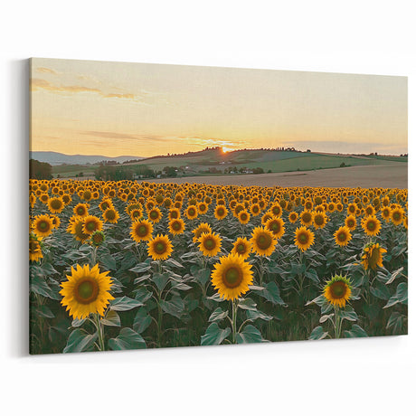 Sunflower Field at Sunset Wall Art – Rustic Countryside Canvas Print