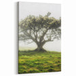 Golden Wildflowers Wall Art – Vibrant Countryside Landscape Canvas